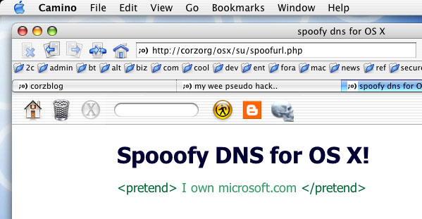big fun! (image of my browser address bar filled with a highly cool home-made TLD)