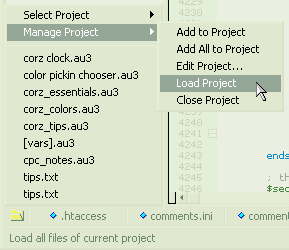 EditPlus' 'hidden' project menu in the far bottom-left of the EditPlus window.